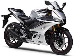 DANMOTO YZF-R3 カーボンスリップオンマフラー YZF-R3 – DANMOTO EXHAUSTS