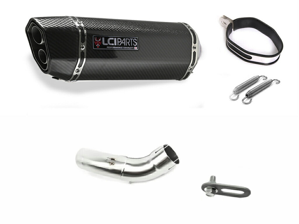 Kawasaki Z900 2020-2023 LCIPARTS ツインエンド　カーボン スリップオンマフラー